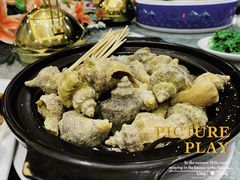 海螺-大东海海鲜酒楼(渔人码头总店)