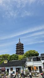 -陈大户旗袍(狮子林店)