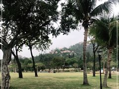 -野狸岛