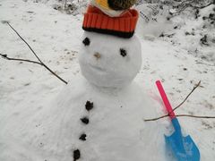 -武陵山森林公园