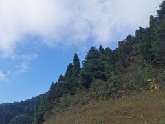 -武陵山森林公园
