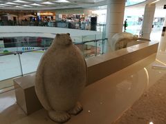 -全明星滑冰俱乐部(万象城店)