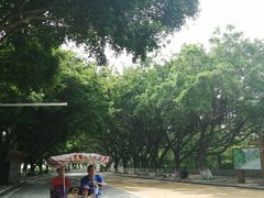 -南沙天后宫景区