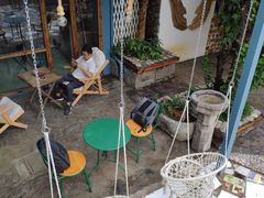 -喵屿·大理花园猫咖