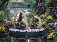 -上海共青森林公园