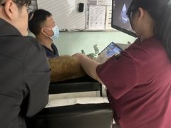 -纳吉亚猫专科动物医院博雅分院