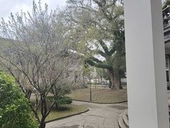 -宁波溪口古镇-民国大杂院