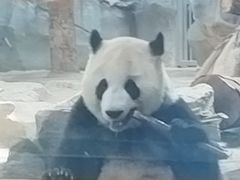 -武汉动物园