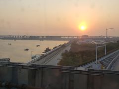 -宝安西湾红树林湿地公园