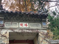 -崂山仰口游览区