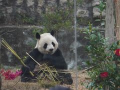 -泉州海丝野生动物世界