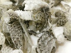 -荔城生鲜盛宴(番禺旗舰店)