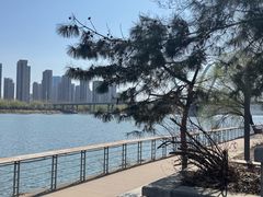 -长白岛森林公园