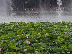 -荔湾湖公园