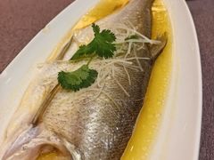 -羲和雅苑•北京烤鸭(瑞吉店)