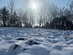 -济南国际园博园