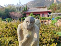 -石岛赤山风景区