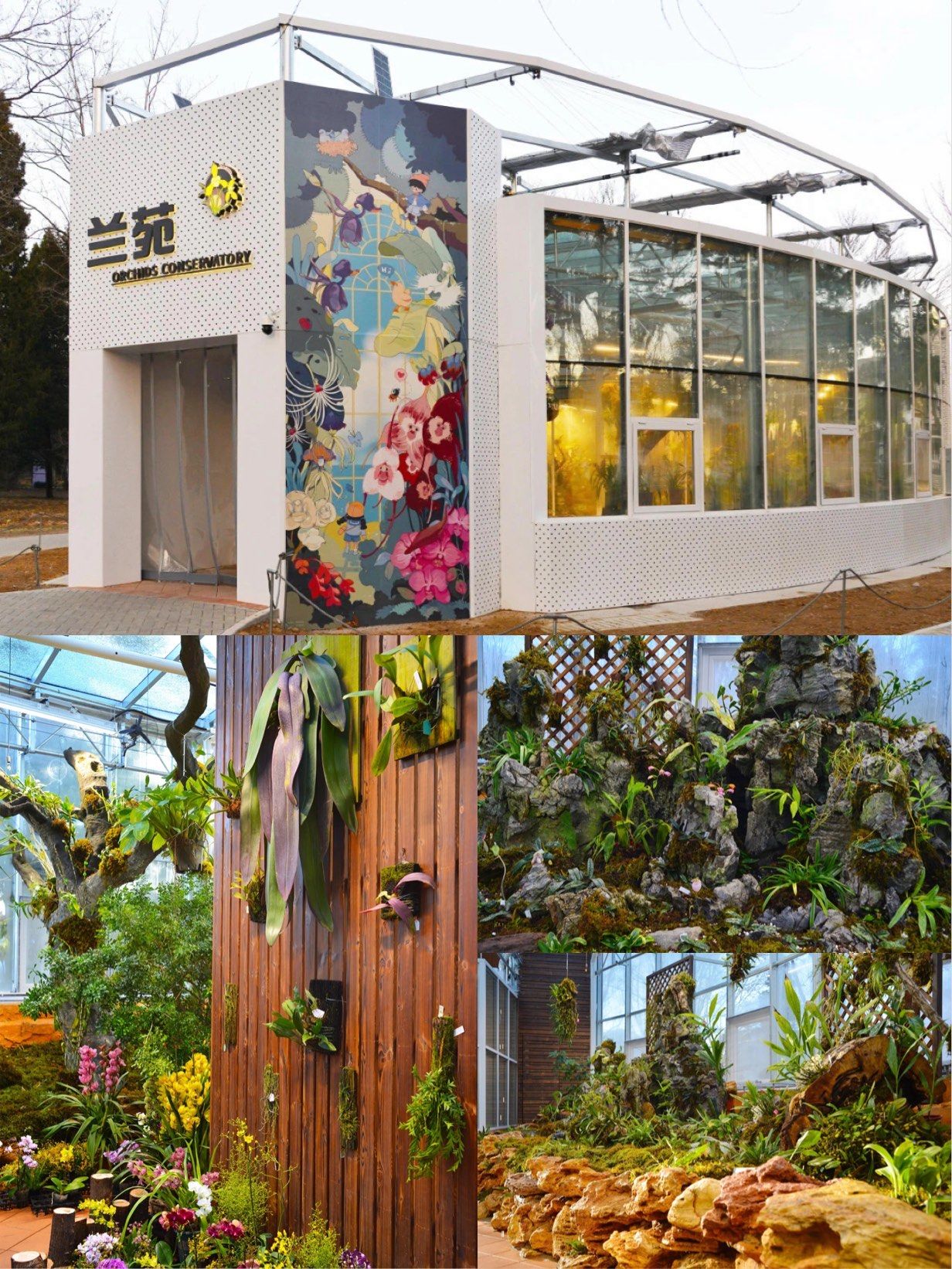 温室里的花朵🌼