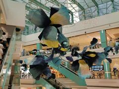 -大族广场Mall&More