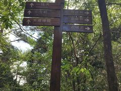 -武夷山风景名胜区-虎啸岩