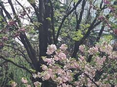 -陕西广播电视塔