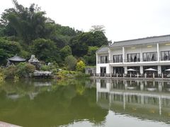 -谷丰健康凤贤居酒家