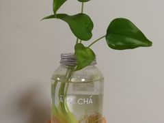 -MAMACHA妈妈茶(岳麓山店)