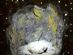 -正佳自然科学博物馆