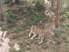 -西霞口神雕山野生动物世界