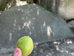 -北京凤凰岭