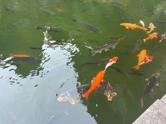-柯岩风景区