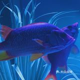 上海海昌海洋公园打卡