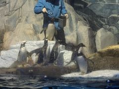 -成都浩海立方海洋公园