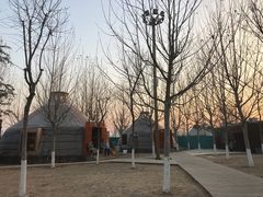 -九十九顶毡房(阜石路店)