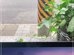 -Apollo·西班牙小酒馆(安福路店)