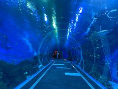 -成都浩海立方海洋公园