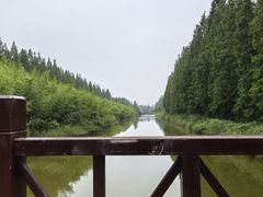 -黄海国家森林公园
