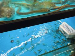 -曾牛土菜(捷瑞达店)