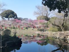 -无锡梅园公园