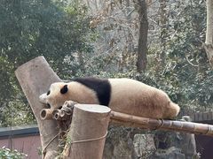 -杭州动物园