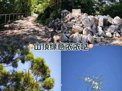 -阳台山森林公园
