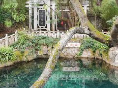 -蝴蝶泉公园