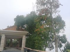 -神光山国家森林公园