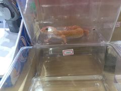 -新田360广场(上海华侨城店)