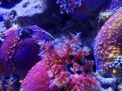 -青岛海底世界-水族馆