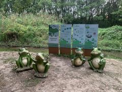 -同里国家湿地公园