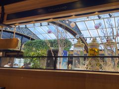 -川骄海鲜自助(王府井奥莱UP TOWN店原世界之花店)