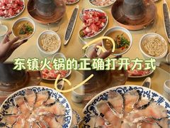 -东镇老火锅(长春路首店)