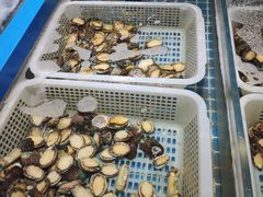 水产区-青岛蓝海大饭店·爱琴海自助餐厅(崂山店)