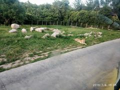 -西安秦岭野生动物园